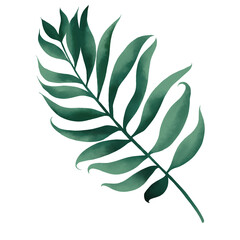 Watercolor of tropical botanical foliage plant with clipping path.