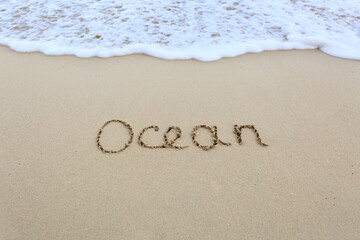 Word ocean written on the sand near the sea.