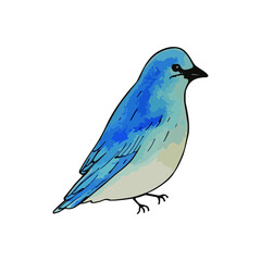 Watercolor birds Hand-painted illustration isolated on a white background