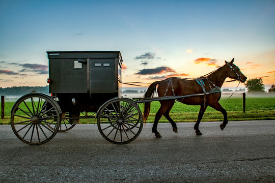 Amish Buggy before dawn on rural Indiana Road