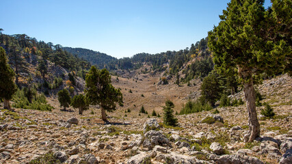 Fototapeta na wymiar Jeep trip in the mountains of Turkey along the Lycian trail. Magnificent views from the height. Pine forest and rocks. Sea view from the top.