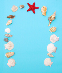 Flat lay of seashells and starfishes on blue background with place for text. Travel tourism concept banner flyer with copy space.