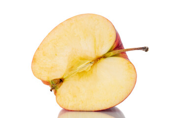One half of a sweet juicy apple, close-up, isolated on white.