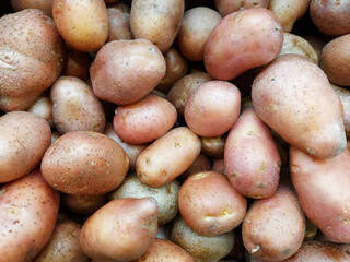 Potatoes on the market, organic vegetables. Harvest concept.