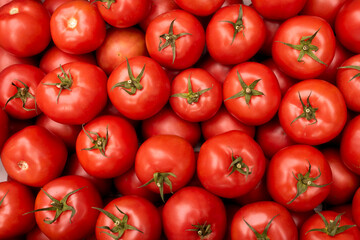 Piękne świeże pomidory przygotowane do sprzedaży na targu / Beautiful fresh tomatoes prepared for sale at the market