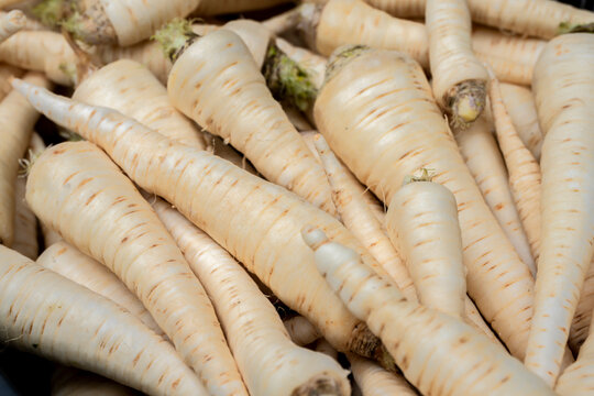 Świeża umyta pietruszka, nać pietruszki, korzeń pietruszki, Fresh washed parsley, parsley leaves, parsley root