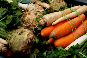 Włoszczyzna, Warzywa przygotowane do sprzedaży,  Vegetable sets prepared for sale - obrazy, fototapety, plakaty