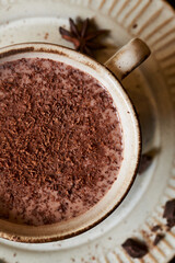 cup of christmas cocoa with chocolate