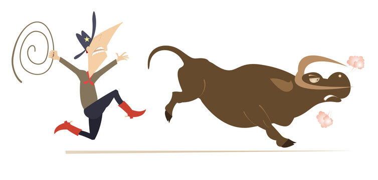 Bull runs away from the rider illustration. 
Funny famer or cowboy tries to lasso the bull isolated on white background

