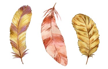 set of delicate watercolor illustrations, light yellow-brown feathers isolated on a white background