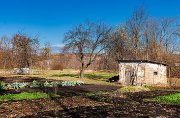 deserted autumn village garden with little vegetation