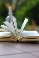 Open book and candle in a garden. Selective focus.