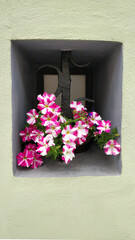 Old medieval house's window with beautiful flower inside.