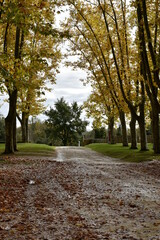 Obraz premium parc de l'abbaye de flaran dans le gers france
