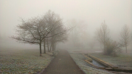 Road in the park during misty morning. The atmosphere looks mysterious but beautiful in the same time. It's Winter so the grass has rime on it.