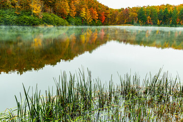 Fall Color Reflections on The Misty Surface Of Boley Lake, Babcock State Park, West Virginia, USA