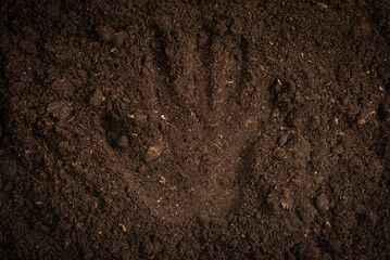 Woman hand trace on a ground.