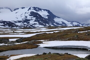 Norway snow in summer - Sognefjell