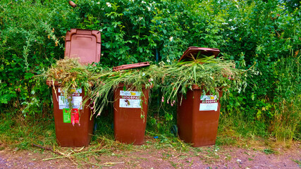 Prague, Czech Republic - June 15, 2021: Three trash cans for biowaste full of grass from nearby...