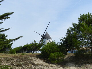 moulin