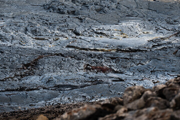 Vulkan Landschaft Island - Fagradalsfjall, Fagradalshraun, Geldingardalir