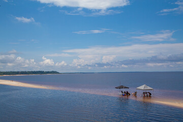 Obraz premium A beach of love in the middle of the Negro river the largest freshwater river in the world