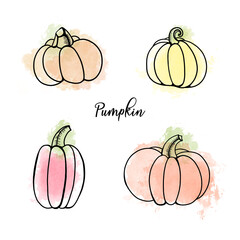 Handpainted isolated watercolour digital orange pumpkins