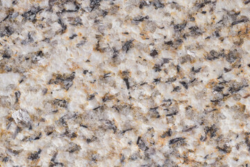 The phaneritic texture of a granite (common intrusive igneous rock) with visible mineral grains