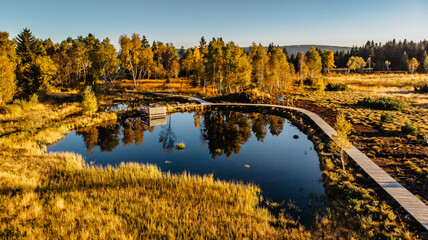 Peat bog near Pernink village in Krusne hory,Ore mountains,Czech Republic.Protected nature reserve.Colorful aerial landscape.Top view drone shot of fresh fall nature.Bog wetlands.Shallow basin