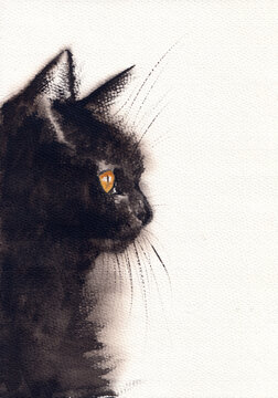 Watercolor painting of black furry cat on white background. Cute domestic feline animal illustration for treeing card, pet shop, fabric print. Adorable furry kitty. Original artwork on textured paper.