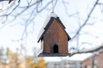 Closeup of birdhouse hanging on tree branch near houses at backyard in winter. Old wooden birdfeeder in cold snowy season