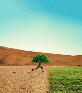 Graphic image of person with tree head running from dryland to green grass field