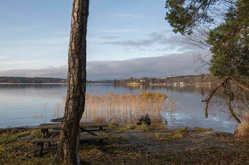 Rest area at a ness in the lake Mälaren a color full autumn day in Stockholm