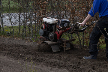 Farmer plowing soil in garden with a walk-behind tractor. springtime