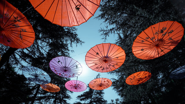Lower view of colorful paper umbrellas hung as decoration outdoo