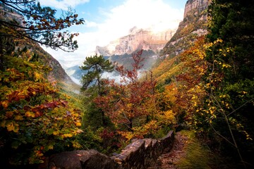 Photograph of the forest in Autumn in the Ordesa y Monte Perdido National Park, in the Pyrenees of...