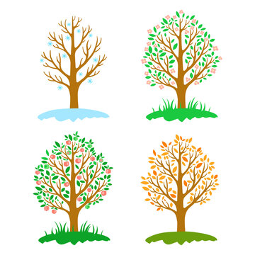 Tree seasons
