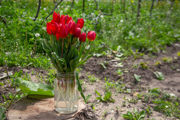 bouquet of tulip in glass jar.
