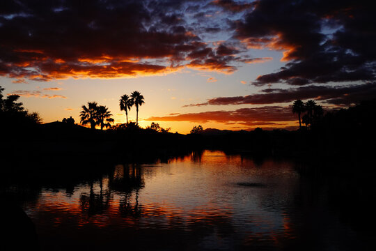 Sunset picture of pond and palm trees silhouette