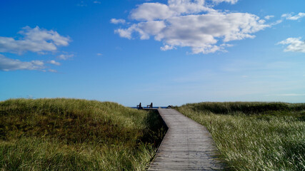 View of a wooden path in the field under the blue sky with puffy clouds