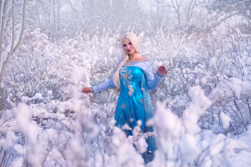 Beautiful princess walks in the winter forest, portrait, fairy tale, cosplay