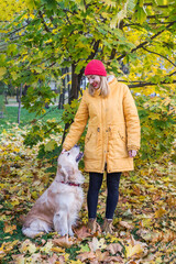 Naklejka na ściany i meble Young woman in a yellow jacket with her retriever yellow autumn leaves