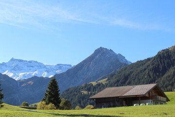 Fondo pantalla montaña nevada en campo verde con casitas