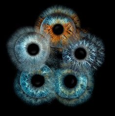 composition of eyes of different people taken in macro mode,