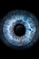 Fototapeten Nahaufnahme (Makrofoto) der Iris eines blauen Auges, ideal für Hintergrund oder Textur © JoseLuis