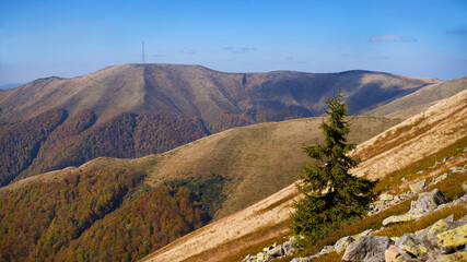 Autumn mountain landscape with a lonely spruce and a high metal tower.