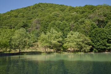 Fototapeta na wymiar Green forest by the lake in reflection in the water beauty in nature . Clean green trees reflection on the mountain lake surface