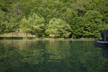 Green forest by the lake in reflection in the water beauty in nature . Clean green trees reflection on the mountain lake surface