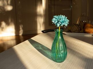 Creative idea sunny day. Blue vase with blue flower on the table.