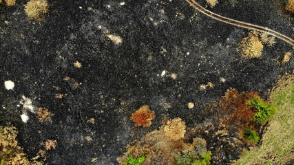 Aerial. Scorched earth background. Top view from drone.